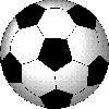 foot